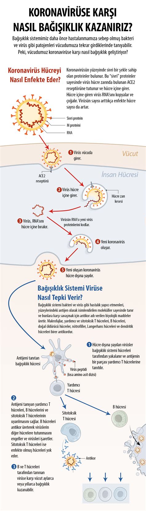 Aşı randevusu i̇ptal edilir mi? Koronavirüse Karşı Yürütülen Aşı Çalışmaları | TÜBİTAK Bilim Genç