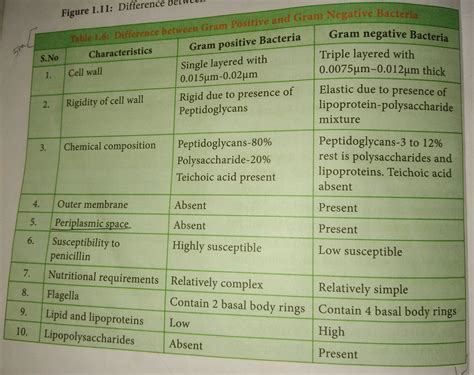 Gram Negative Bacteria Table