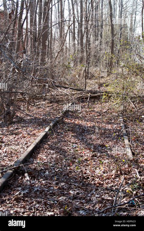Abandoned Railroad Tracks Stock Photo Alamy