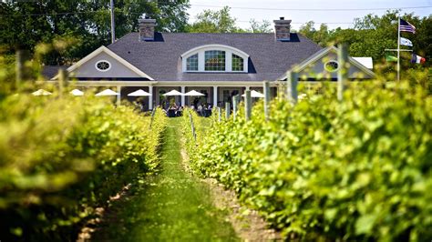 5 Of The Best Vineyards In Long Island New York About Time Magazine