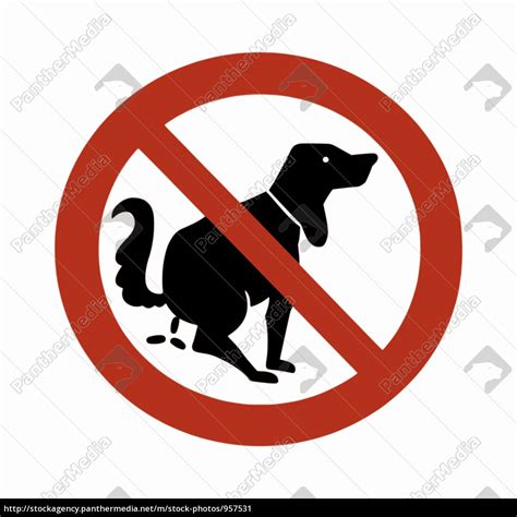 Möchten sie ein eigenes motiv als schild oder als aufkleber bestellen, dann laden sie es bitte unter folgendem link hoch und wählen sie das gewünschte format. Schild Hund 01 - Stockfoto - #957531 - Bildagentur PantherMedia