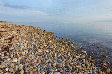 Pebble Beach In Evening Fyns Hoved Hindsholm Kerteminde Municipality
