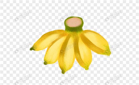 Check spelling or type a new query. Gambar Pisang Raja