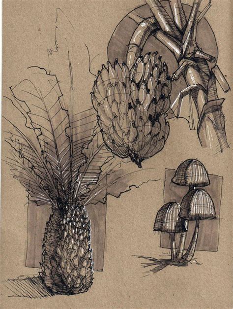 Fast & fun boosting of creative flow: Dynamic Sketching 1 - CGMA 2D Academy | Plant sketches ...
