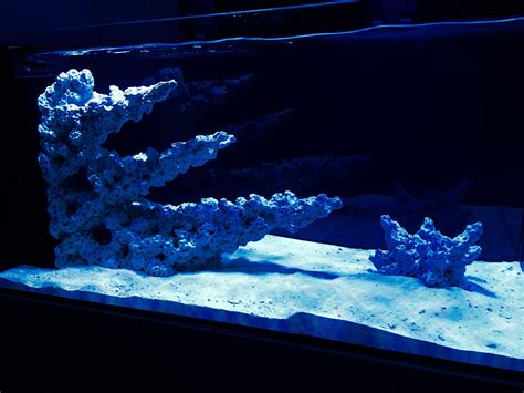 Reef Tank Aquascapes Uk Aquascape Ideas