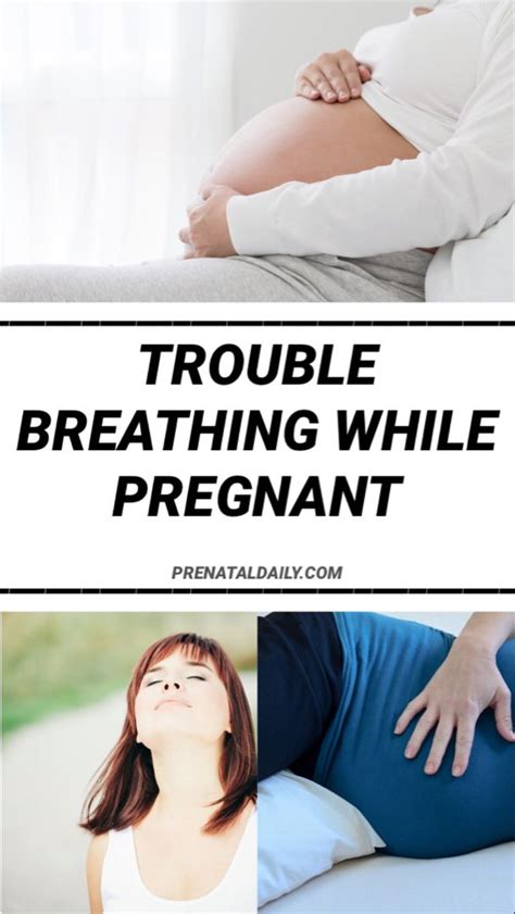 Pin On On Prenatal Daily Blog