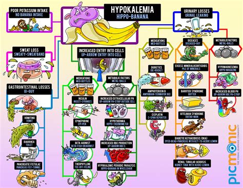 Infographic How To Study Hypokalemia And Hyperkalemia Picmonic