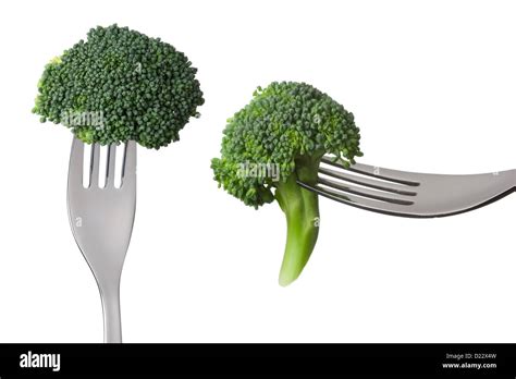 Two Broccoli Florets On Forks Isolated Against White Background Stock