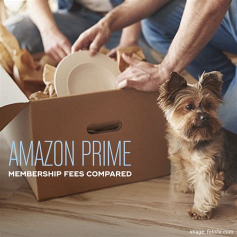 How much does Amazon Prime membership cost in your country? (comparison)