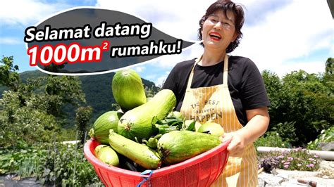 Kucing kampung juga sering berkeliaran tidak jelas yang akhirnya membuat ia dijuluki kucing liar. Cara menjalani hidup di Kampung Korea! #1 - YouTube
