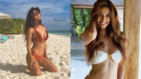 disha patani s hot bikini photos raise mercury levels [see pictures] entertainment news ptc