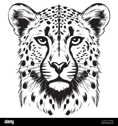 Update more than 154 cheetah pencil sketch super hot - in.eteachers