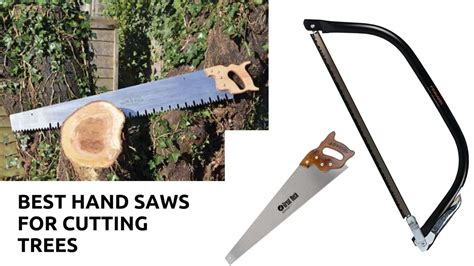 The 5 Best Hand Saws For Cutting Trees Longevity And Price 2023
