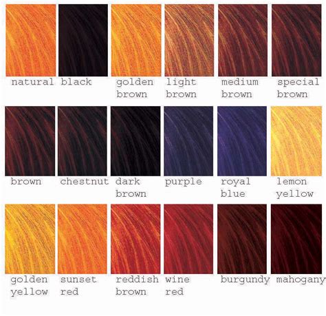 There are so many different ways to rock brown hair, but some common shades include ash brown, mushroom brown, bronde, rose brown hair, light brown, dark brown, and auburn. Henna Hair Color 2012 Photos | Mehndi Designs