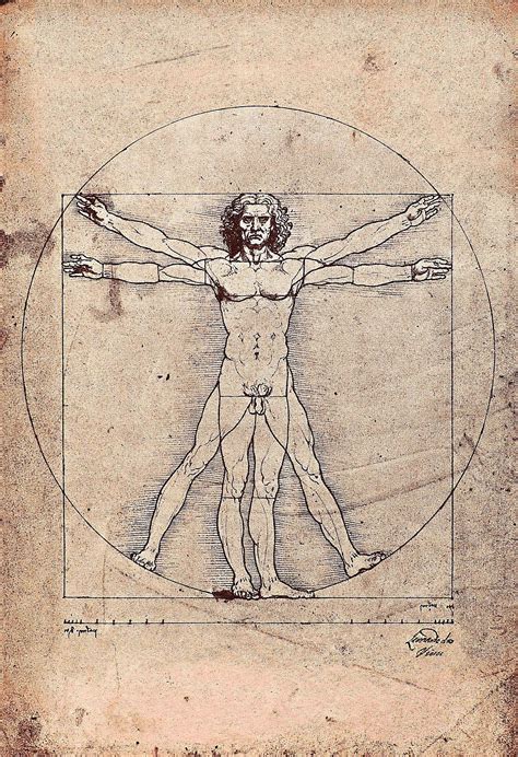 Leonardo Da Vinci The Renaissance Man
