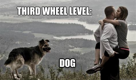 Irti Funny Picture 1895 Tags Third Wheel Level Dog Couple