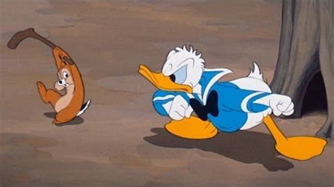 Donald Duck Winter Voorraad Kids Tubenl