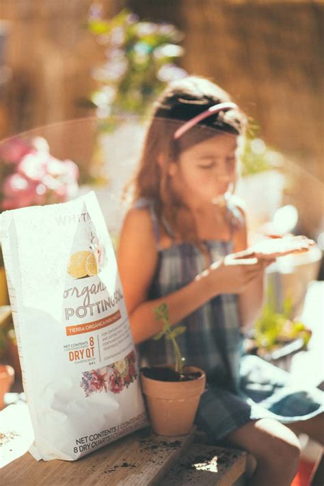 And the quality of the smoke is dependent upon many factors, drying/curing being a large part of retaining good flavor and removing harsh green flavors (but not. The Best Organic Potting Soil for Edible Garden Vegetables ...