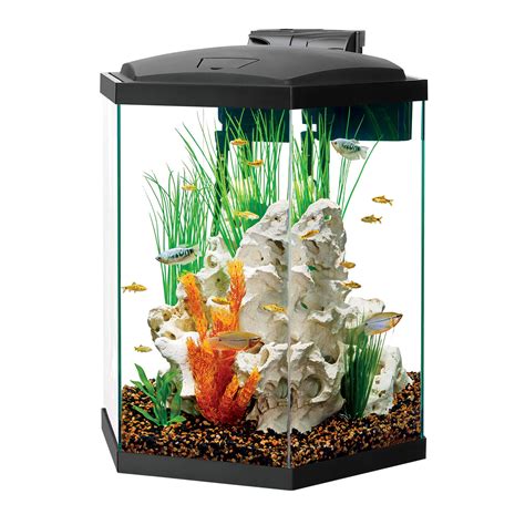 Aqueon 10 Gallon Hexagon Pine Aquarium Stand Ph