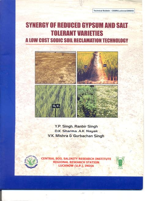 Pdf Synergy Of Reduced Gypsum And Salt Tolerant Varieties A Low Cost