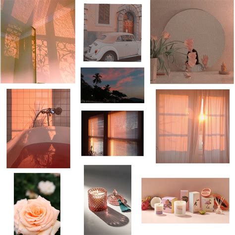 Peach Interior Design Mood Board By Millieraymond Style Sourcebook