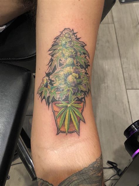Cannabis Plant By Danny Frost Club Tattoo Las Vegas Rtattoos