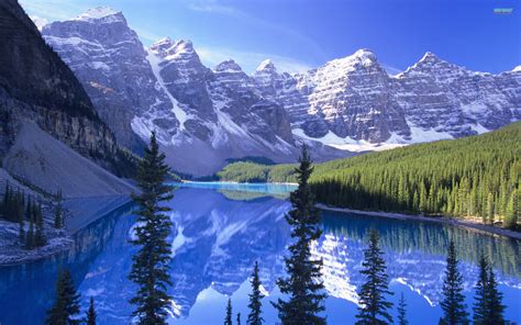 Anime Nature Wallpaper (77+ images)