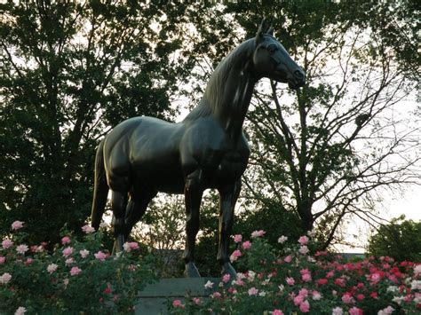 Man O War Statue Kentucky Horse Park Lexington Ky Kentucky Horse