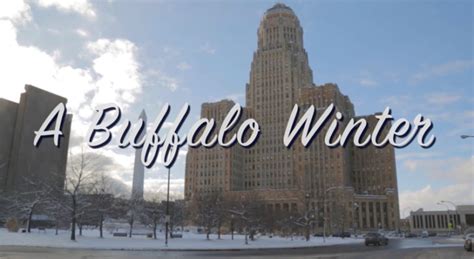 A Buffalo Winter Buffalo Rising
