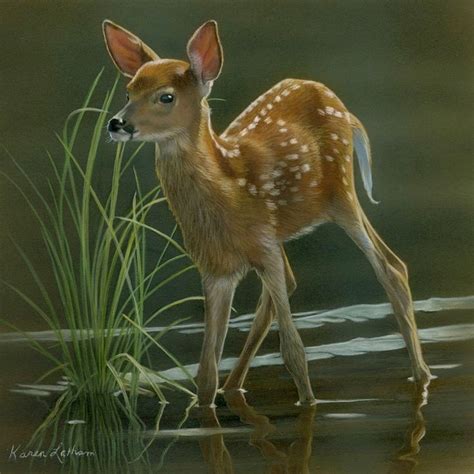 Pin By Bunny On Artistswildlife With Images Deer Painting