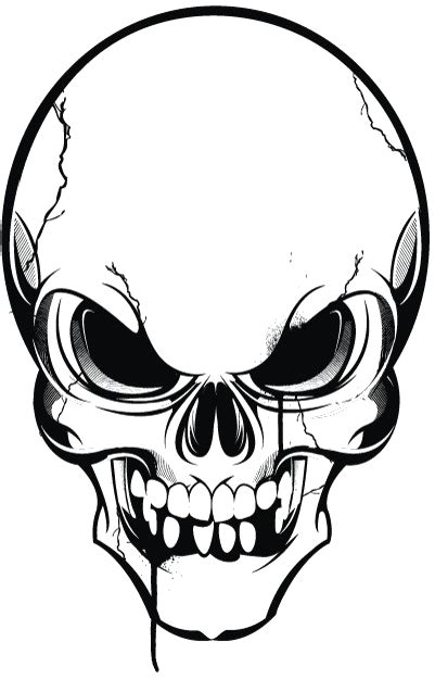 Creative Skull Png High Quality Image Skull Logo Vector Png Clipart