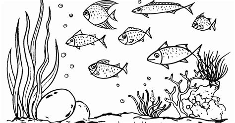Gambar Mewarnai Ikan Laut - Contoh Gambar Mewarnai