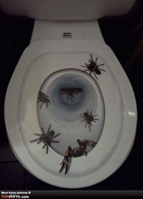 17 Best Images About Nope Nope Nope On Pinterest Giant Spider