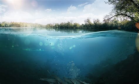 Underwater Lake Stock Photos Pictures And Royalty Free Images Istock