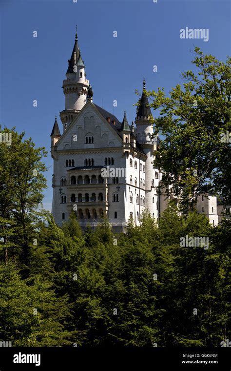 Neuschwanstein Castle Hohenschwangau Bavaria Germany Stock Photo Alamy