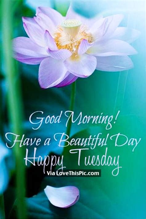 Check spelling or type a new query. Happy Tuesday Good Morning