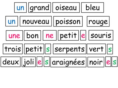 French Adjective Agreement And Placement Teaching Resources