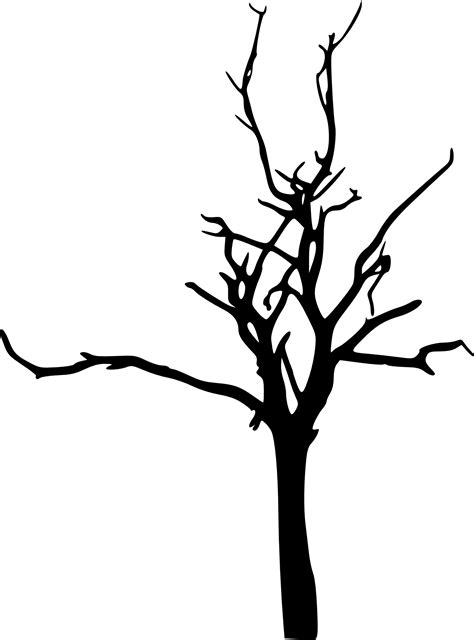 Leafless Trees Aesthetic Black And White Laptop Background