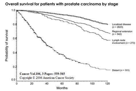Prostate Cancer Survival Rate