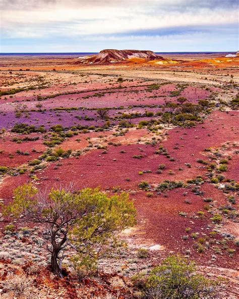 The Painted Desert Cooper Peaty Australia Landscape Desert