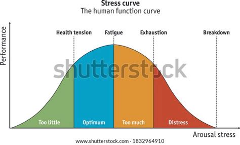 Different Stages Stress Curve Ranging Underload Stock Vector Royalty