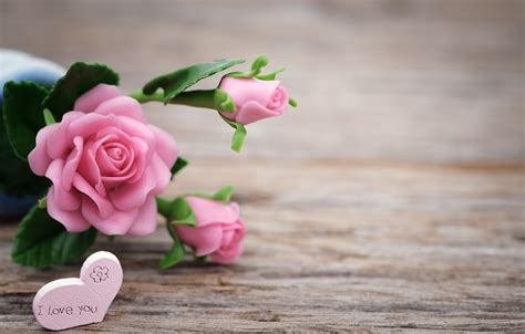 Wallpaper Love Flowers Roses Love Pink Buds Heart Pink Flowers