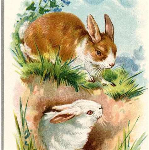 Vintage Easter Bunnies Card The Graphics Fairy