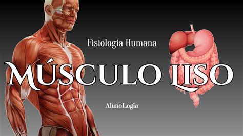 #musculos Musculos del Brazo Anatomy Class MD - YouTube stories