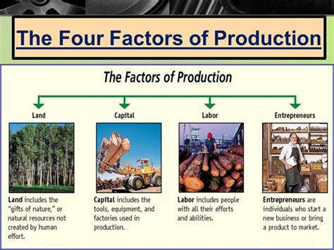 The factors of production are the building blocks of any economy. Five Factors of Production