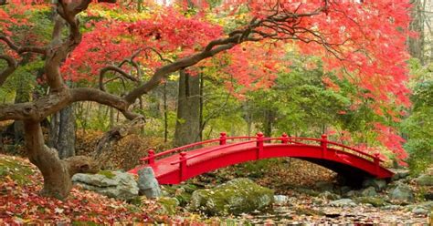 17 Amazing Japanese Inspired Garden Bridges House Decors