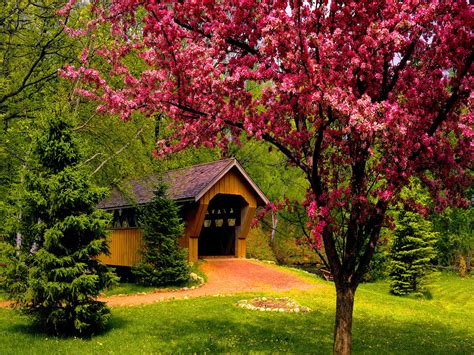 Spring Backgrounds for Computer (52+ images)
