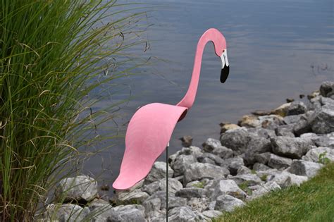 Rainbow Flamingo - Florida Dancing Birds®