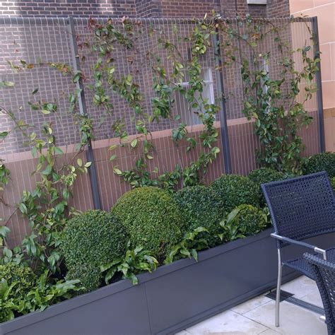 Whether you want a trellis fence panel for an informal garden boundary, wall our free standing trellis, or garden obelisks, create an attractive. Trellis Panels Free Standing and Trough Planters | Outdoor ...