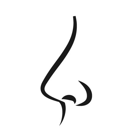 Nose Vector Png
